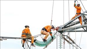 100 ngày đêm đẩy nhanh tiến độ, hoàn thành các dự án truyền tải điện trọng điểm năm 2026