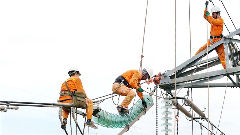 100 ngày đêm đẩy nhanh tiến độ, hoàn thành các dự án truyền tải điện trọng điểm năm 2026