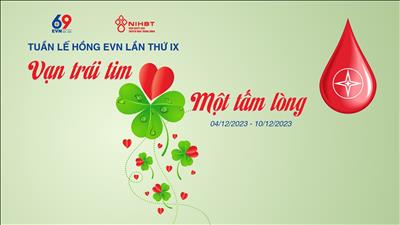 TUẦN LỄ HỒNG EVN LẦN THỨ IX