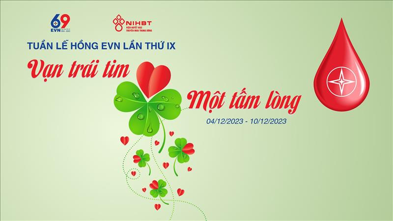 TUẦN LỄ HỒNG EVN LẦN THỨ IX