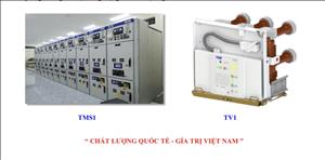 Công ty Cổ phần Điện Trường Giang, Sản phẩm TMS1 và TV1 đạt Chứng nhận quốc tế KEMA và ASTA 