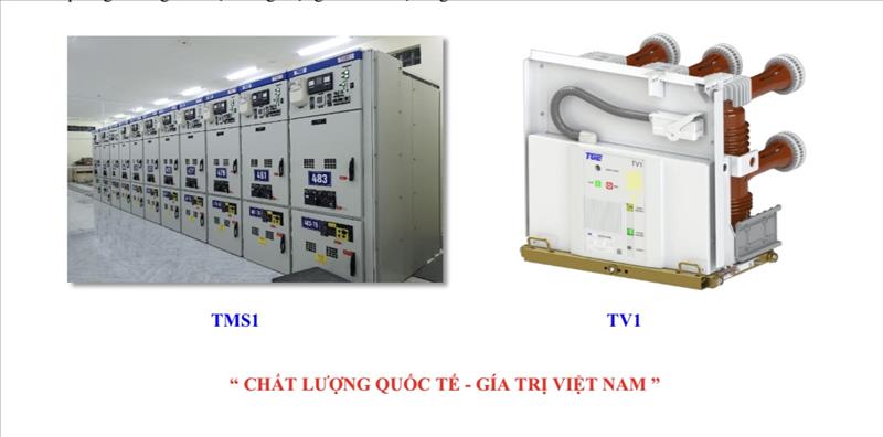Công ty Cổ phần Điện Trường Giang, Sản phẩm TMS1 và TV1 đạt Chứng nhận quốc tế KEMA và ASTA 